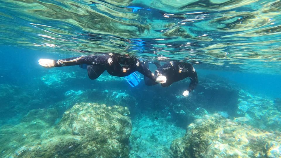Tenerife: Snorkeling Tour in a Marine Protected Area - Key highlights in plain terms