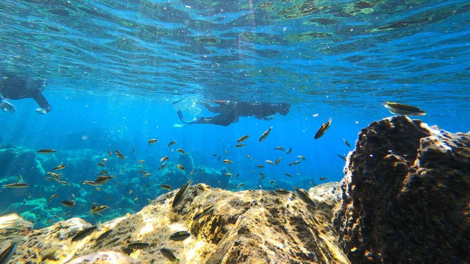 Tenerife: Snorkeling Tour in a Marine Protected Area - Weather reality: when you should flex your plans