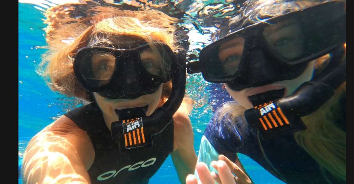 Tenerife: Snorkeling Tour in a Marine Protected Area - What you’ll see: reef life, sea grass, and possible turtles