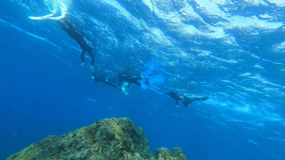 Tenerife: Snorkeling Tour in a Marine Protected Area - The gear set-up that helps first-timers relax
