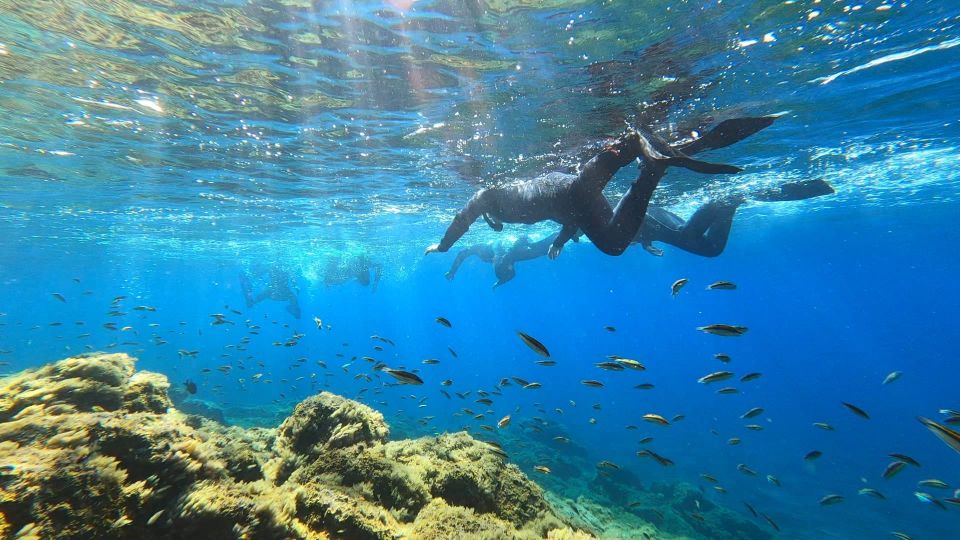 Tenerife: Snorkeling Tour in a Marine Protected Area - Photos and videos: real souvenirs, not just memories