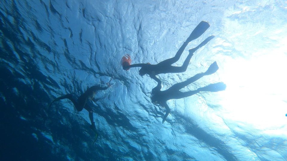 Tenerife: Snorkeling Tour in a Marine Protected Area - Who this tour fits best (and who should skip it)