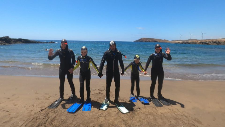 Tenerife: Snorkeling Tour in a Marine Protected Area - Price and value: $45 feels fair for what’s included