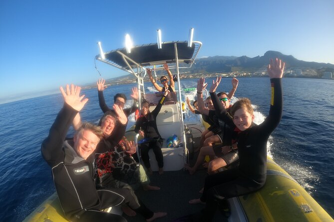 Tenerife Snorkeling Tour in turtle habitat - Price and Timing: What 54.07 Gets You (and What It Does Not)