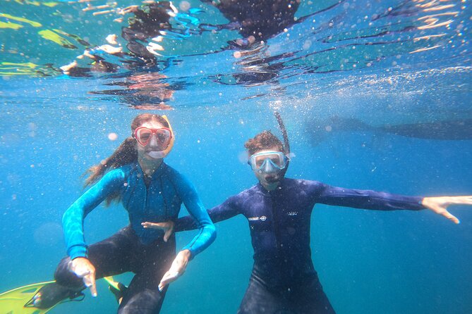 Tenerife Snorkeling Tour in turtle habitat - Stop One: Paperwork, Gear Up, and the Turtle-Looking Briefing