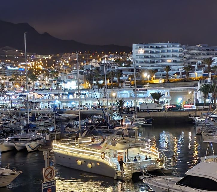 Tenerife: Sunset Catamaran Tour with Transfer, Buff & Drinks - The main event: pilot whales and dolphins around Tenerife
