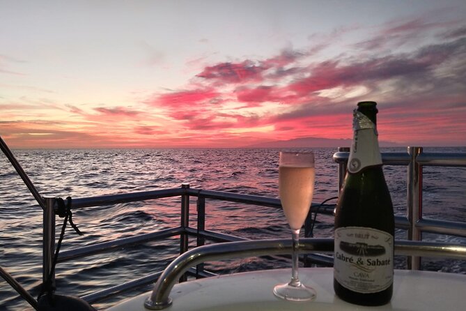 Tenerife Sunset Catamaran tour with transfer - Food and Drinks included. - What the 3-hour flow feels like on the water