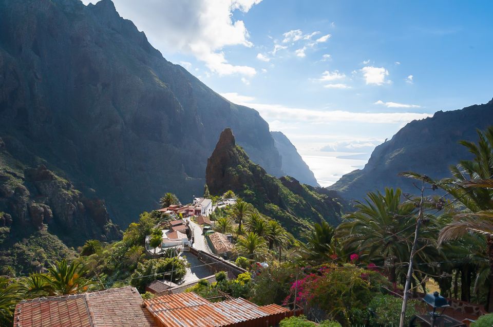 Tenerife: Teide National Park Full-Day Tour with Pickup - What you’re getting for the money ($66 for 8 hours)