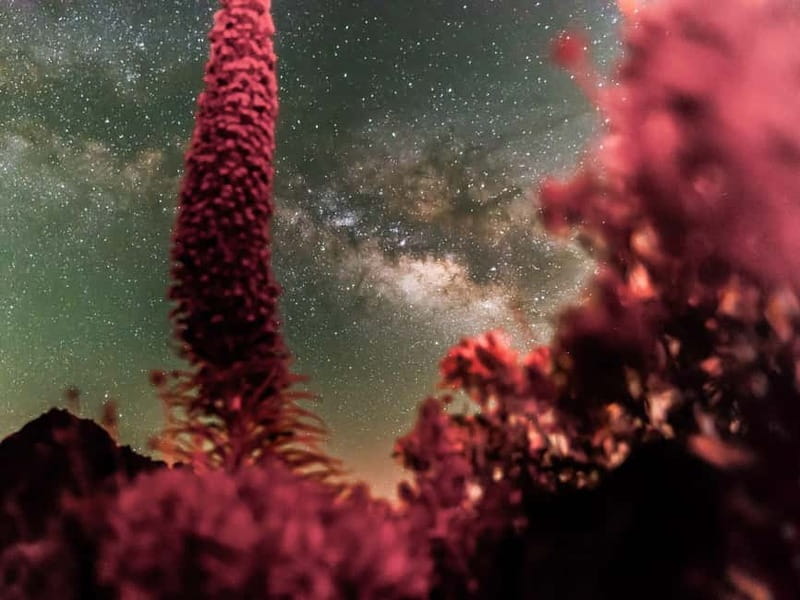 Tenerife: Teide Stargazing with an Astrophysicist - Weather and Cold: The Real Factor That Determines Your Comfort