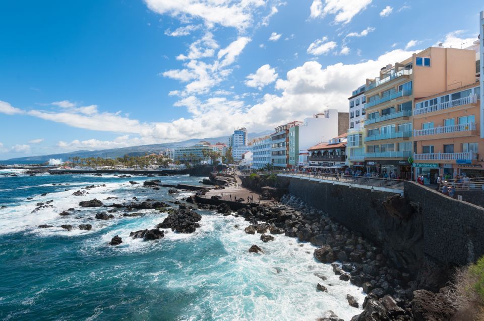 Tenerife: Trip to Puerto de la Cruz - Sitio Litre: orchids, dragon trees, and famous visitors