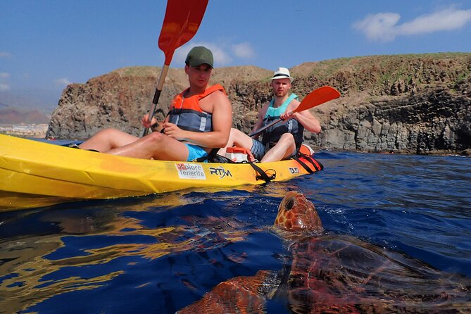 Tenerife: Turtle & Dolphin Kayak Tour with Snorkel & Wetsuit - Getting Started at Xplore Tenerife in Los Cristianos