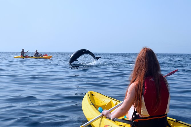 Tenerife: Turtle & Dolphin Kayak Tour with Snorkel & Wetsuit - Wild Dolphins: what you’re actually looking for