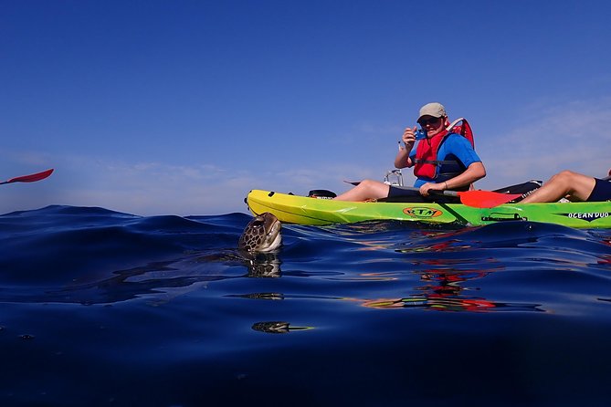 Tenerife: Turtle & Dolphin Kayak Tour with Snorkel & Wetsuit - Snorkeling Break: wetsuit comfort and the fish-spotting mindset