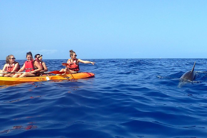 Tenerife: Turtle & Dolphin Kayak Tour with Snorkel & Wetsuit - The Return Paddle and the Mount Teide panorama