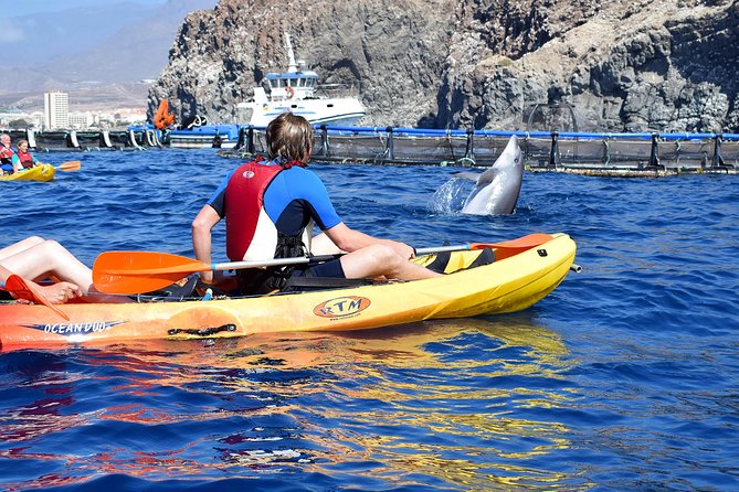 Tenerife: Turtle & Dolphin Kayak Tour with Snorkel & Wetsuit - Price, group size, and timing: when $42 makes sense