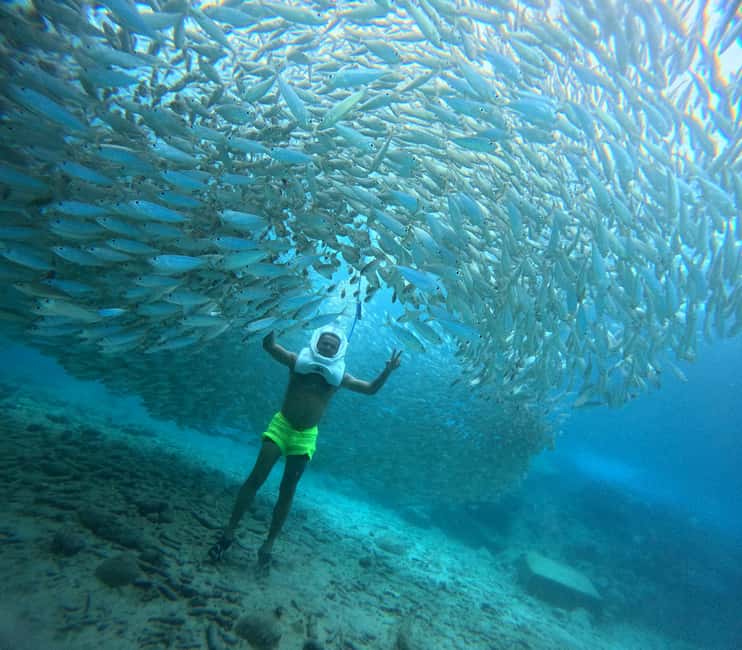 Tenerife: Underwater Walk - Sea Trek Experience - Key things you will remember from Sea Trek in Tenerife
