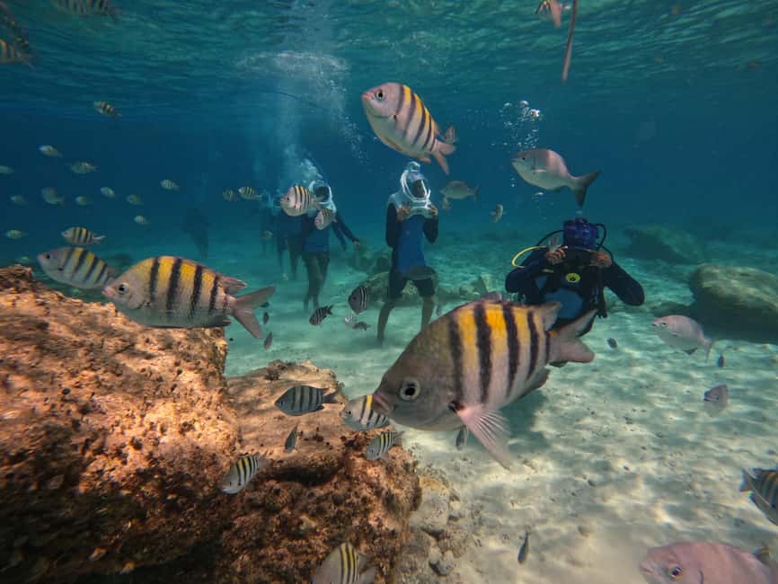 Tenerife: Underwater Walk - Sea Trek Experience - Sea Trek on Tenerife: what the helmet walk feels like