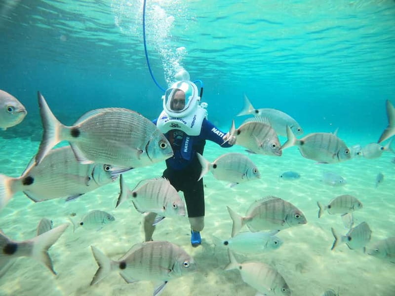 Tenerife: Underwater Walk - Sea Trek Experience - 20 to 25 minutes on Tenerife’s seafloor: fish, volcanic rock, and clear visibility