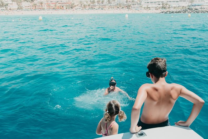 Tenerife: Whale and dolphin watching - White Dreams and the Tenerife setup you’ll care about