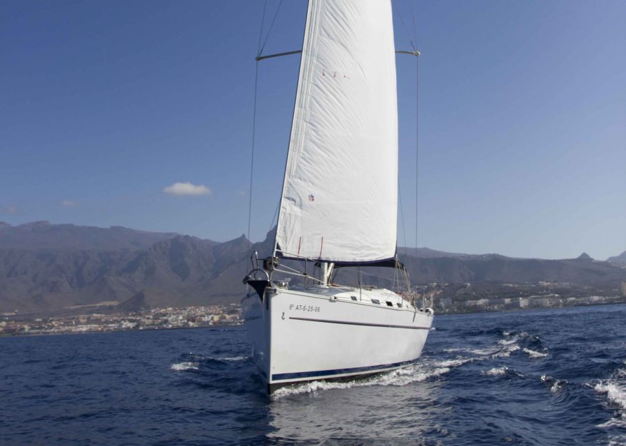 Tenerife: Whale and Dolphin Watching Tour by Sailboat - A small-boat whale hunt from Puerto Colón