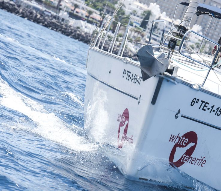 Tenerife: Whale and Dolphin Watching Tour by Sailboat - Snorkeling in the Atlantic: crystal water, but you bring your gear