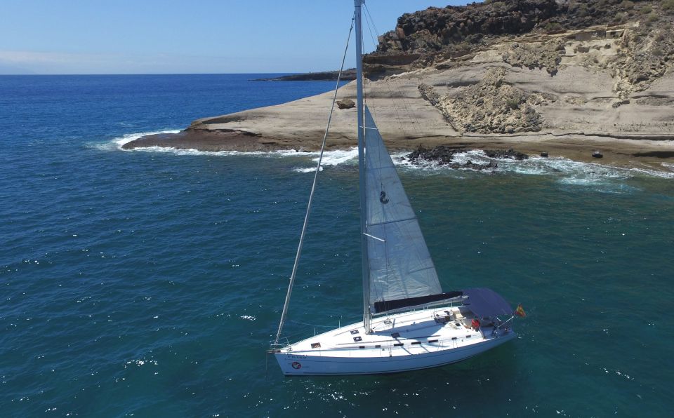 Tenerife: Whale and Dolphin Watching Tour by Sailboat - What the Blue Boat flag means for your peace of mind