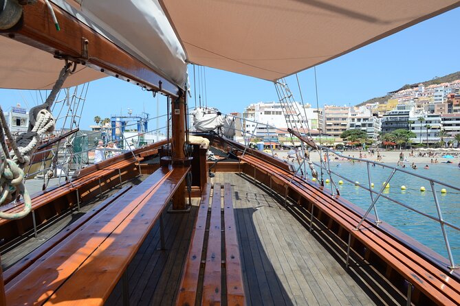 Tenerife: Whale and Dolphin Watching with a Plunge - Crew, Captains, and the Photo Advantage of a Smaller Boat