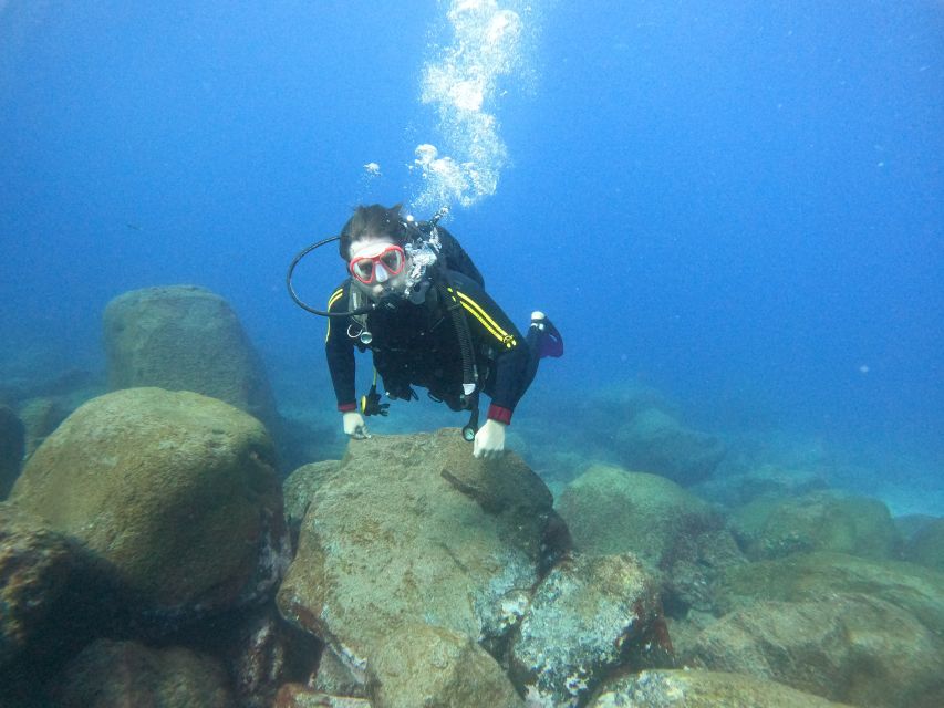 Tenerife: Your First Scuba Diving Experience in Turtle Area - The speedboat to the turtle area: short ride, big ocean payoff