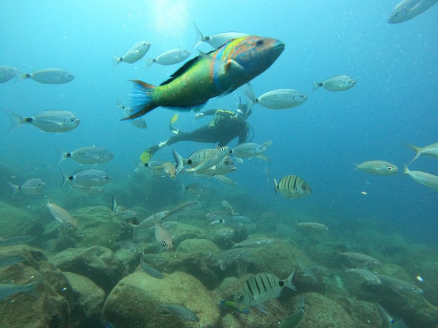 Tenerife: Your First Scuba Diving Experience in Turtle Area - Aftercare: the 12-hour rule matters