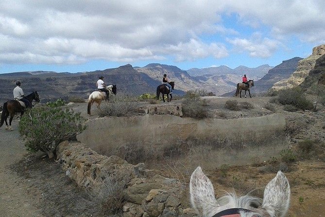 The Best Horse Riding Experience in Gran Canaria (1 hour) - Getting picked up for a one-hour ride in El Salobre