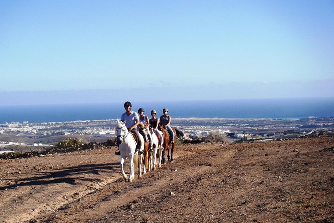 The Best Horse Riding Experience in Gran Canaria (1 hour) - How the guides match the ride to your ability