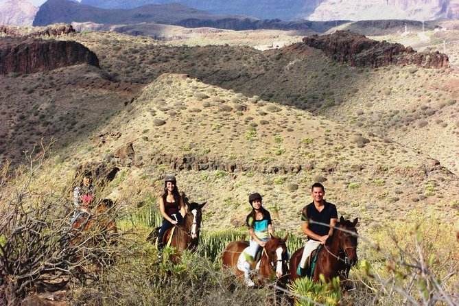 The Best Horse Riding Experience in Gran Canaria (1 hour) - Horses, tack, and what’s really included