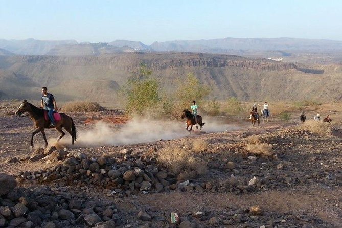The Best Horse Riding Experience in Gran Canaria (1 hour) - Who should book this one-hour ride (and who should skip it)
