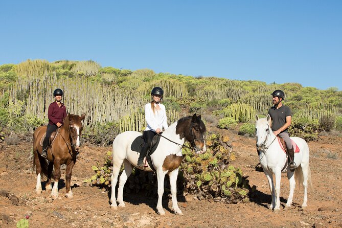 The Best Horse Riding Experience in Gran Canaria (2 hours) - How the guides run things (and why group size matters)