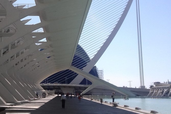 The City of Arts and Sciences in Valencia - City of Arts and Sciences: what makes it click on a guided walk