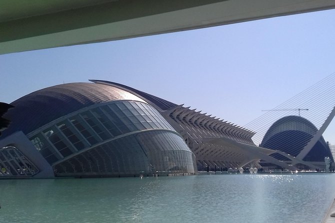 The City of Arts and Sciences in Valencia - Museo de las Ciencias Príncipe Felipe: why the “first stop” matters