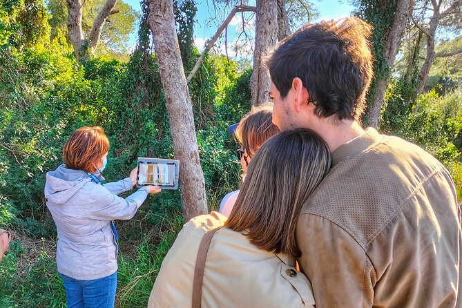 The Original Albufera Tour: Barraca, Boat Ride & Local Guide - Key things I’d circle on this Albufera tour