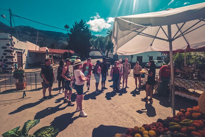 The Red Canyon Tour - Small Group Trip with Local Food Tasting ツ - Stop 3: La Fortaleza de Ansite caves and the 650-meter reality check