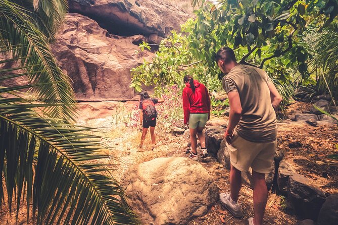 The Red Canyon Tour - Small Group Trip with Local Food Tasting ツ - Stop 4: Cafetería La Caldera de Tirajana and the local food tasting window