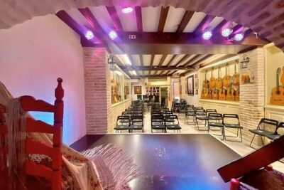 Ticket for Casa de la Guitarra Flamenco Show - The José Luis Postigo guitar collection: the museum stop that feels like a bonus