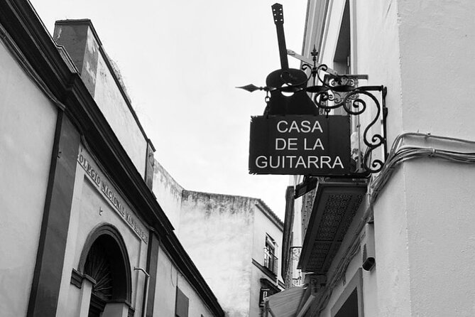 Ticket for Casa de la Guitarra Flamenco Show - English in Seville: what you’ll understand and what you might miss