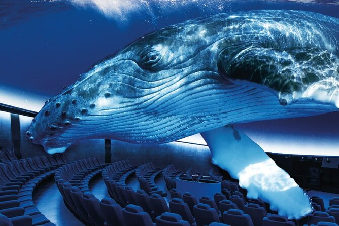 Ticket Palma Aquarium - Key details that help you plan