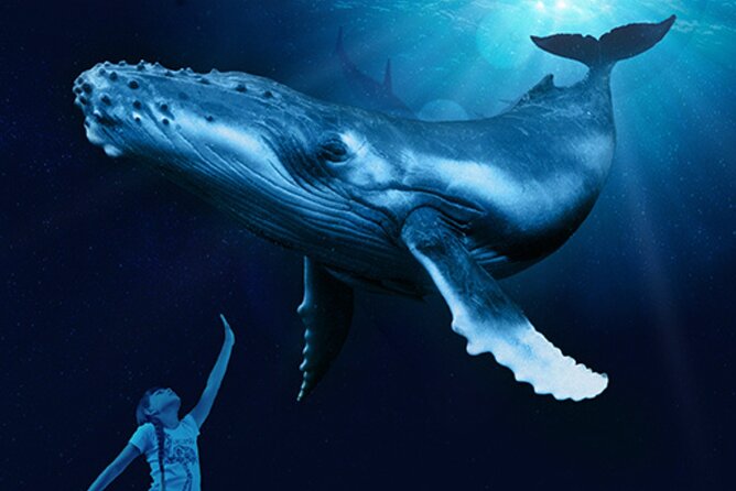 Ticket Palma Aquarium - Crowds, noise, and timing: how to make it feel less chaotic