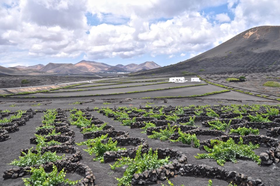 Timanfaya And El Golfo For Cruise Passengers (Mornings) - Geothermal Show Expectations: It’s Impressive, but Watch the Tone