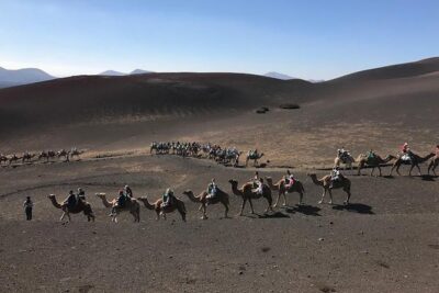 Timanfaya & Lanzarote Volcano Experience - Picking up fast: the minibus rhythm from 8:00 am