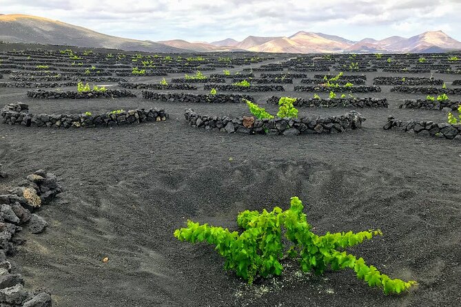 Timanfaya & Lanzarote Volcano Experience - El Golfo and Lago Verde: green water in a volcanic coastal setting