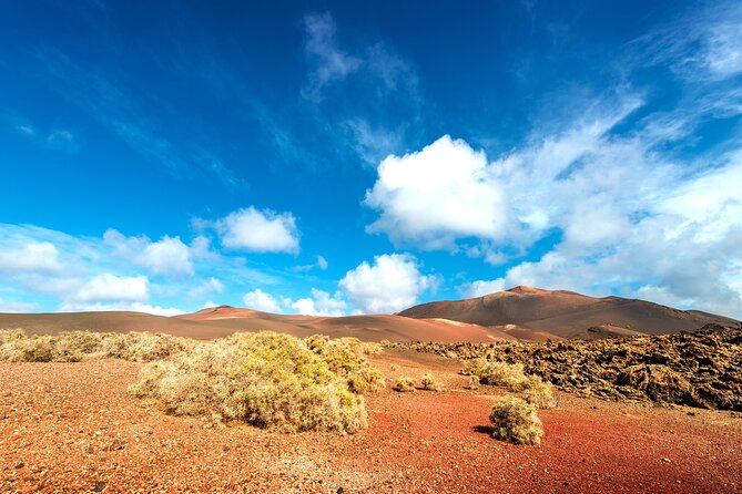 Timanfaya & Lanzarote Volcano Experience - The Timanfaya coastline drive: Salinas and Janubio Beach