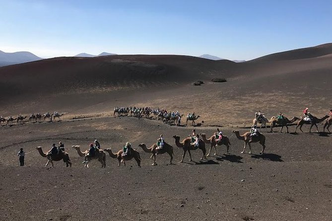 Timanfaya & Lanzarote Volcano Experience - Picking up fast: the minibus rhythm from 8:00 am