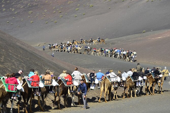 Timanfaya Park & Camel Ride (extra cost) - Short South Tour - Who this tour is best for (and who should skip it)