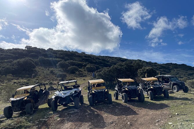 TopBuggy Buggy Safari Ronda Gorge Trip - El Tajo de Ronda: the coffee stop that turns into a viewpoint moment